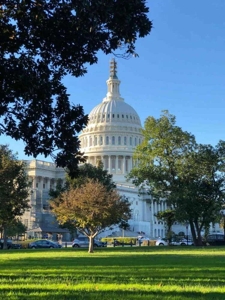A beautiful photo of the United States capitol building in spring, at LobbyingData.com